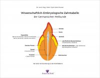 Zahntabelle Buchausgabe Zahntabelle Buchausgabe